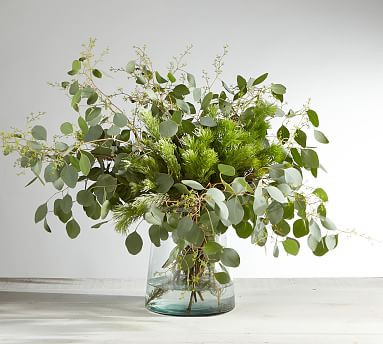 Live Wooly Bush & Seeded Eucalyptus Bunches | Pottery Barn (US)