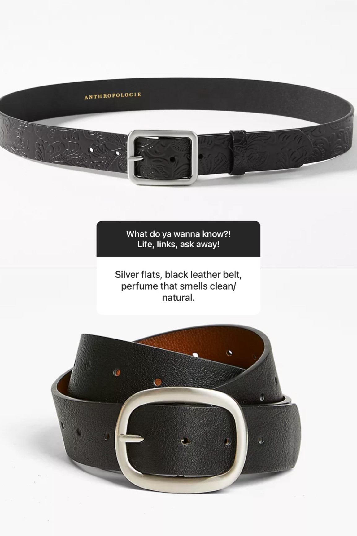 Black belt, standard and plus!