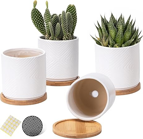 OMAYKEY 4 Inch Ceramic Succulent Pots, Small Plant Pots with Saucer, White Succulent Planter with... | Amazon (US)