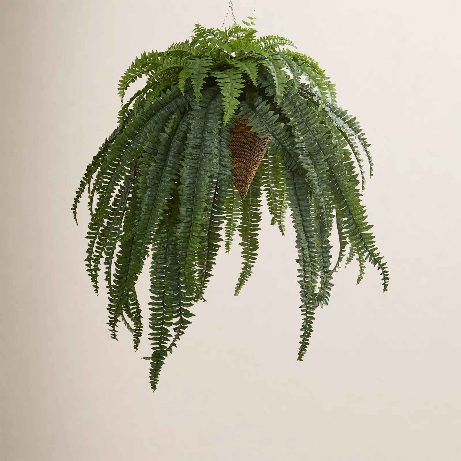 50'' Faux Fern Plant in Planter | Wayfair North America