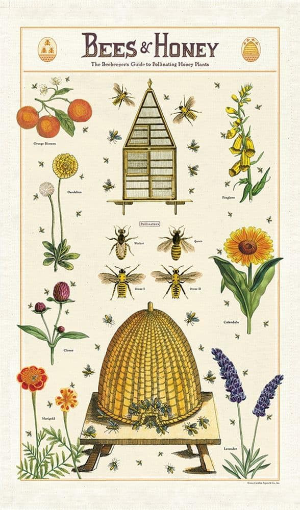 Cavallini Papers & Co. Bees & Honey Tea Towel, Multi | Amazon (US)