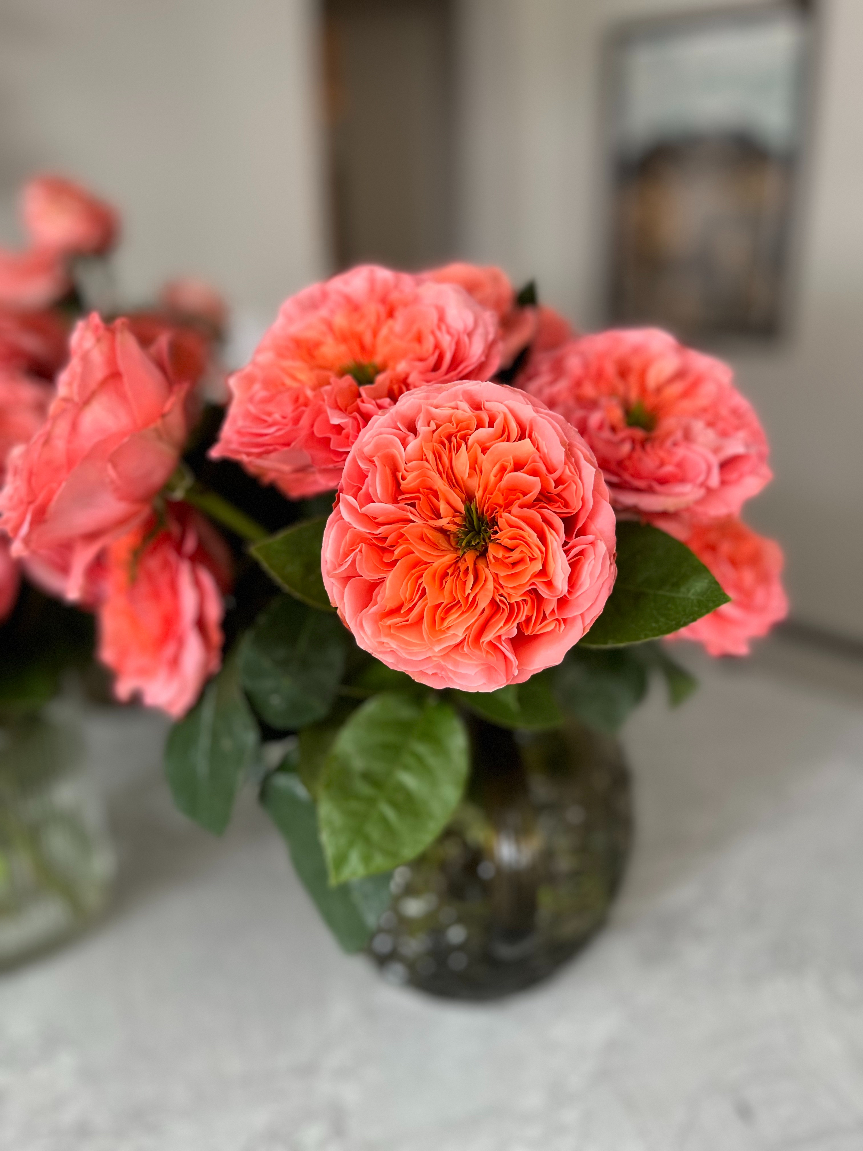 Rosaholics | Farm Fresh Flowers | Gifts for Her | Valentines Day | Gift Idea | Valentines Day Gift Ideas 

 #LTKGiftGuide #LTKSeasonal #LTKFindsUnder100