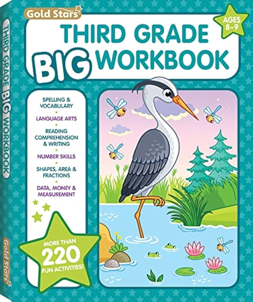 3rd Grade BIG Workbook All Subjects for Kids 8 - 9 includes 220+ Activities, Spelling, Grammar, R... | Amazon (US)