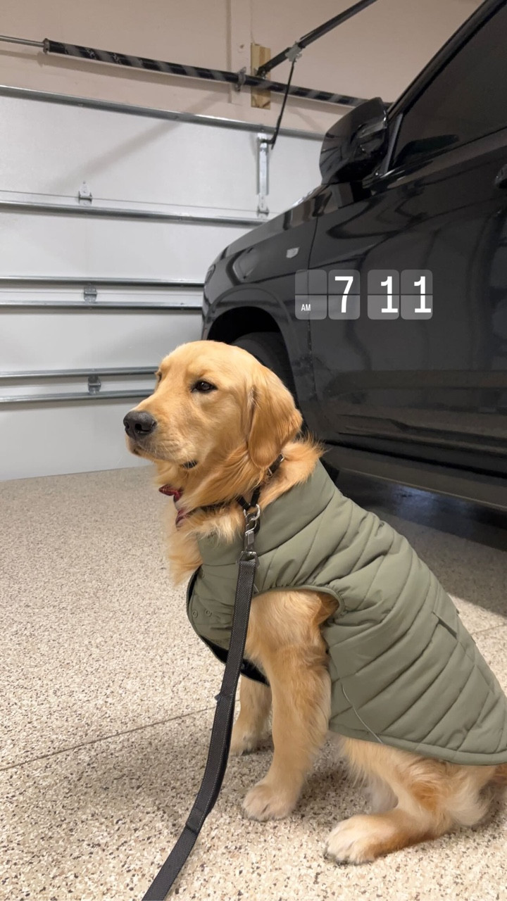 Jax’s winter jacket! It’s water-resistant and windproof with fleece interior. 😍

#LTKdayinmylife #LTKSeasonal #LTKootd