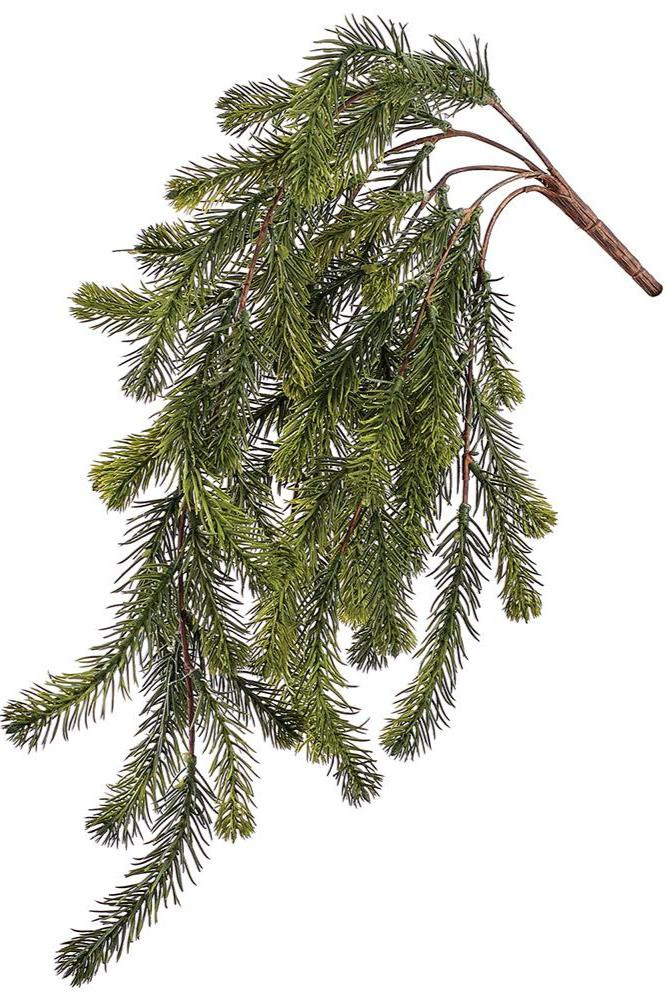 Fir Hanging Bush | Gatehouse No.1