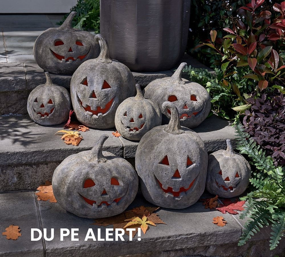 Insane dupe alert. I ordered so many kinds and can’t wait to see how they look!

#LTKSeasonal #LTKSaleAlert #LTKHome