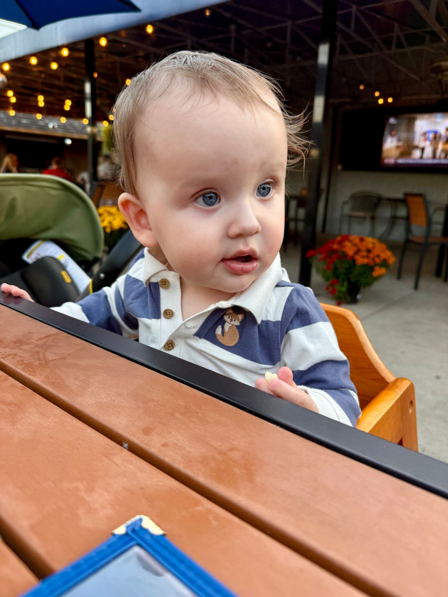 Cute little rugby shirt & shorts set for baby boy 

#LTKBaby #LTKSeasonal #LTKKids