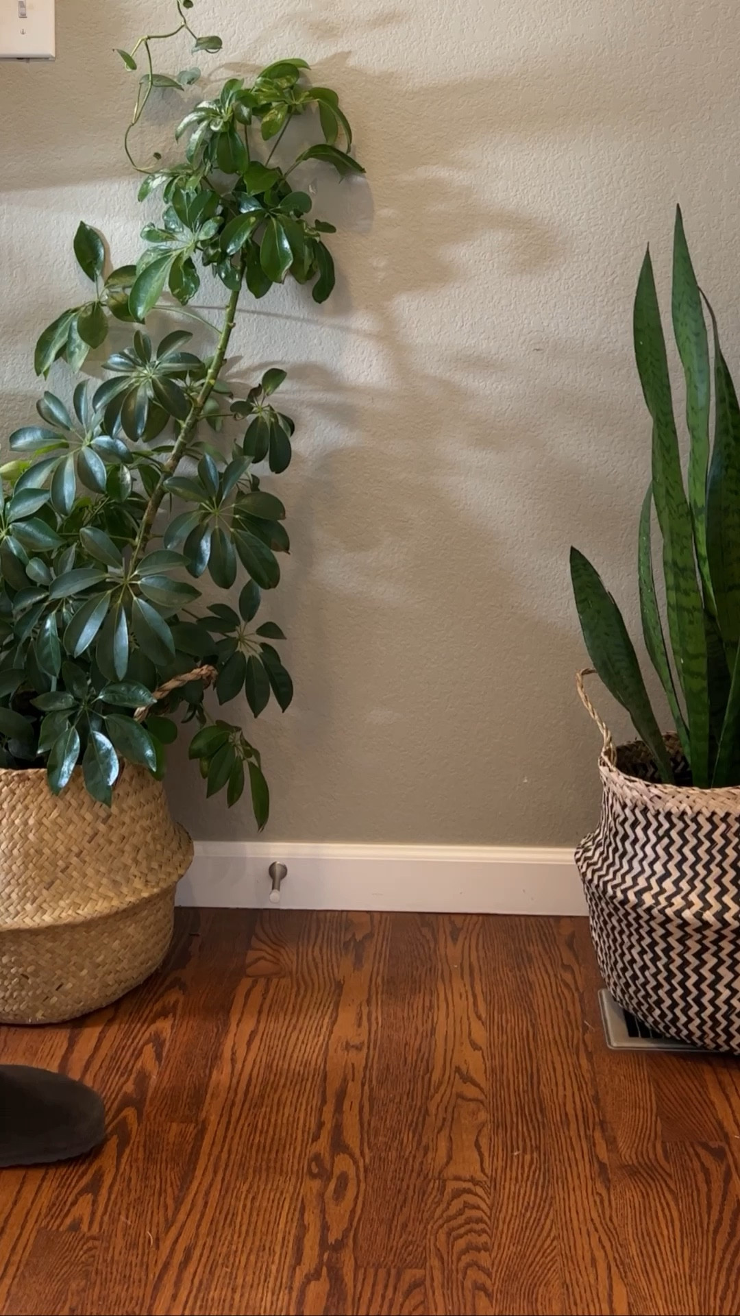 Fall shoes I’m obsessed with 

#LTKmens #LTKfindsunder100 #LTKstyletip