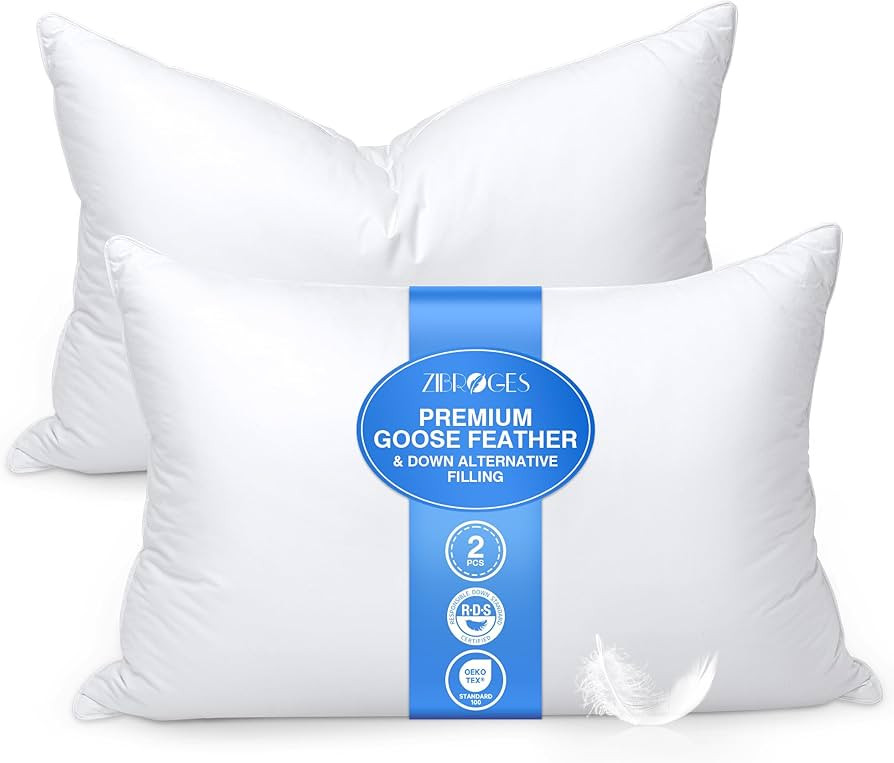 Goose Feather Pillow Queen Size Pack of 2 - Hotel Down Bed Pillows for Sleeping, Soft 600 Thread ... | Amazon (US)