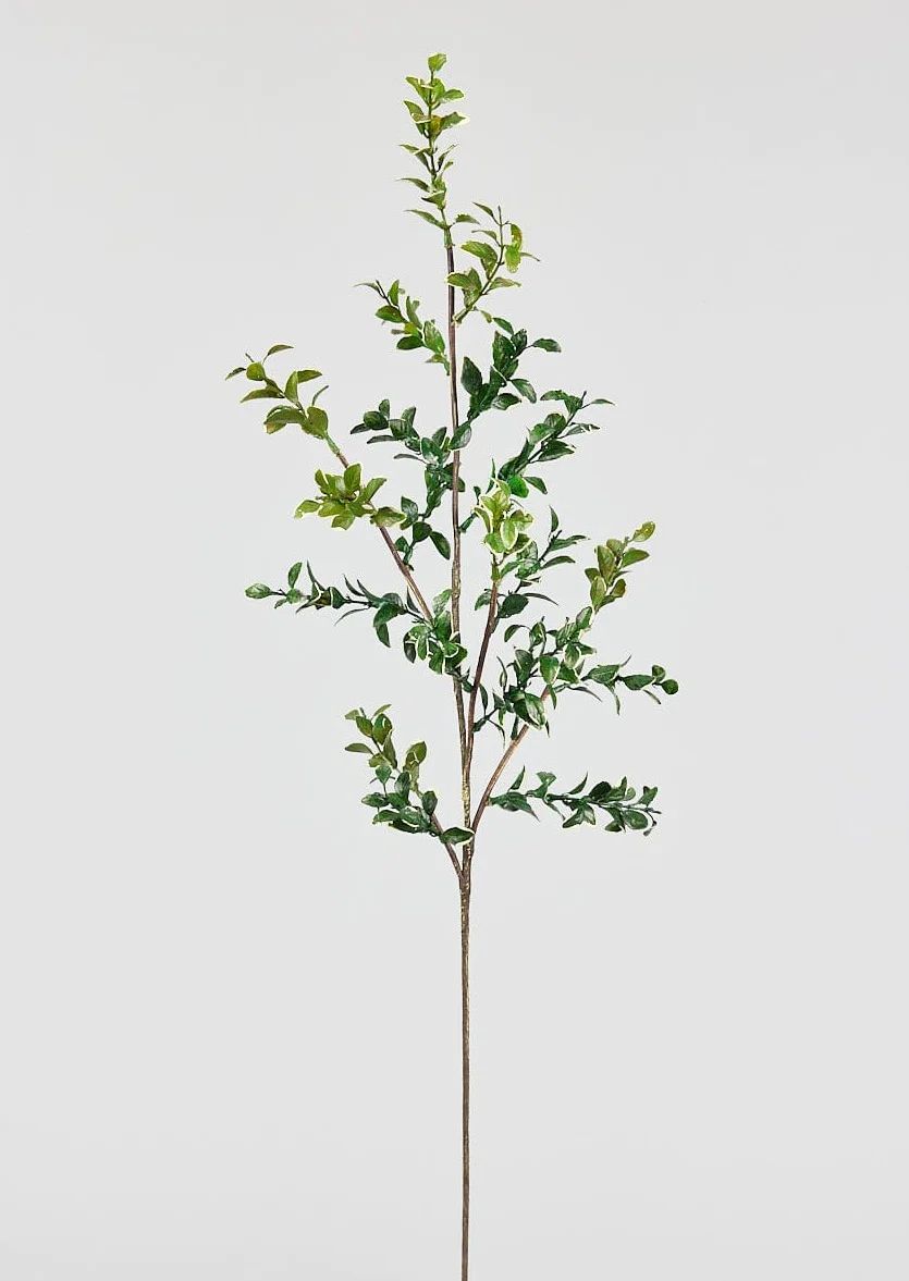 Natural Touch Variegated Artificial Button Leaf Branch - 32" | Afloral