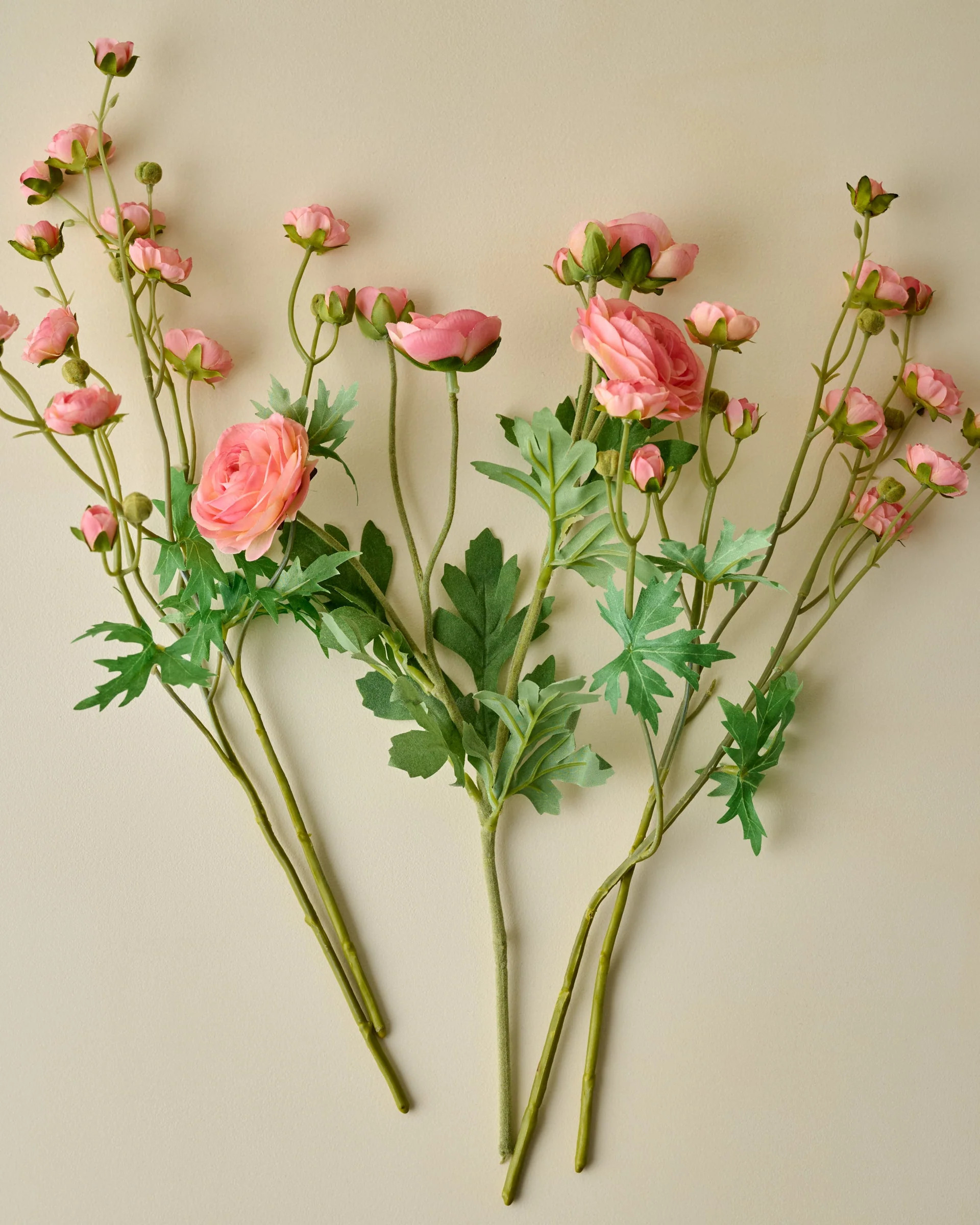 Ranunculus Bloom Bundle | Magnolia