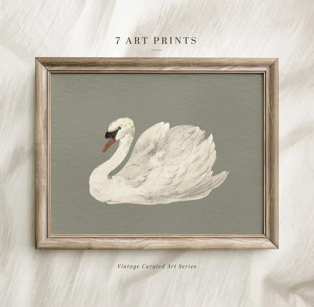 Vintage Animal Wall Art, Swan Painting, Digital Download - Etsy | Etsy (US)