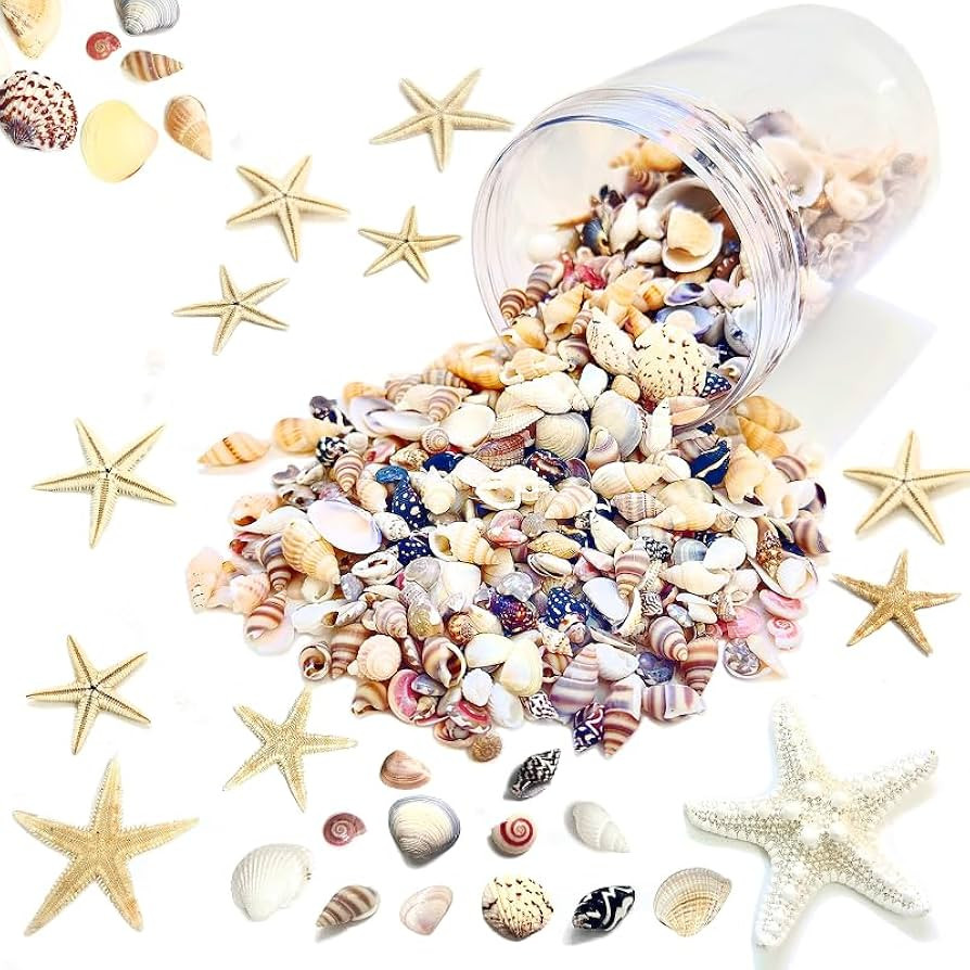 1500 PCS sea Shells Small Natural Starfish Mixed Beach Snail Seashells are Suitable for Beach The... | Amazon (US)