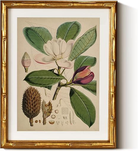 InSimSea Gold Bamboo Framed Canvas Wall Art, Retro Nature Magnolia Botanical Paintings, Antique V... | Amazon (US)