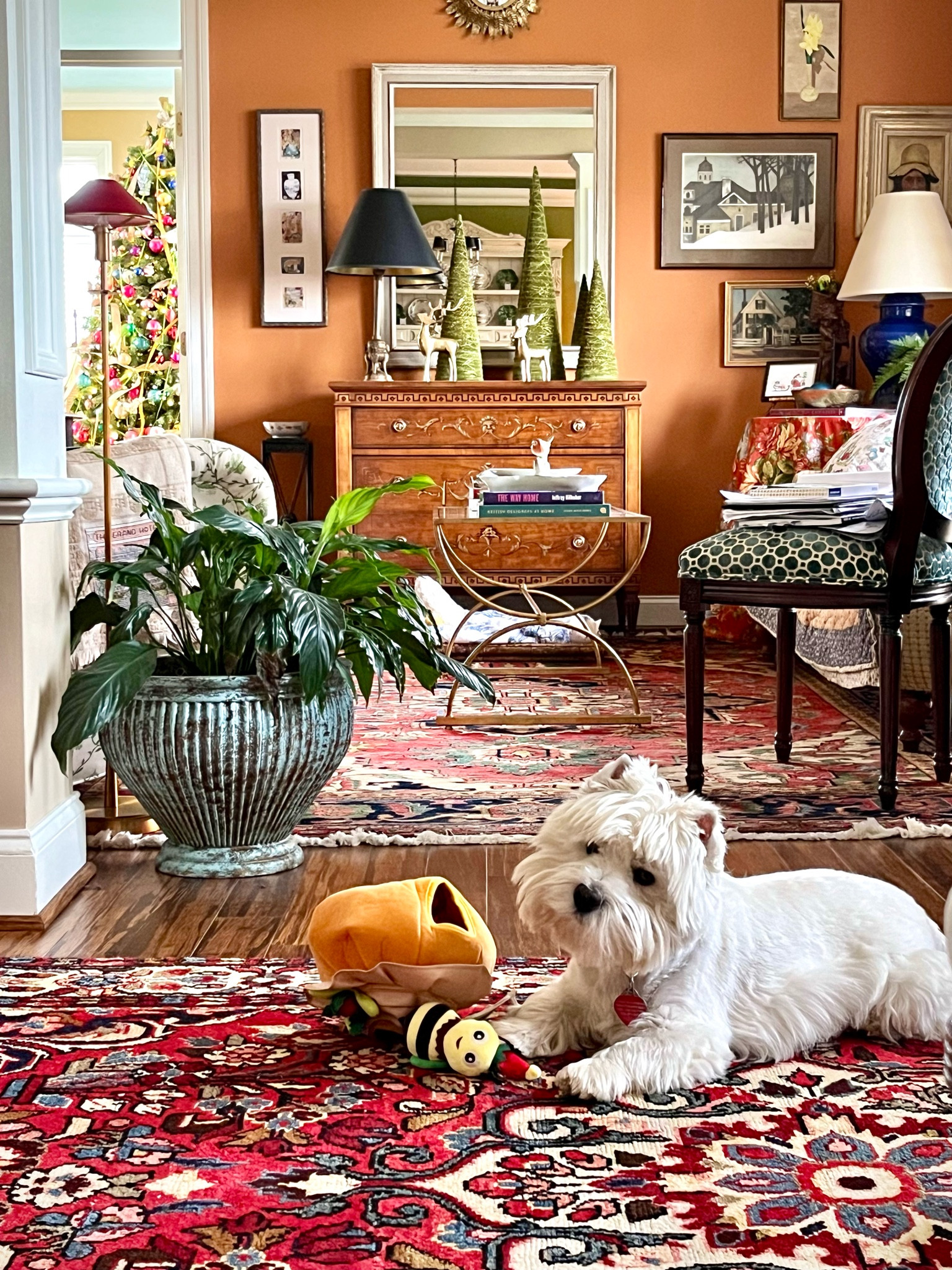 Shop the room. Honey bee dog toy, red floor lamp, Louis chair, green velvet trees. Merry Christmas! 

#LTKSeasonal #LTKhome #LTKHoliday