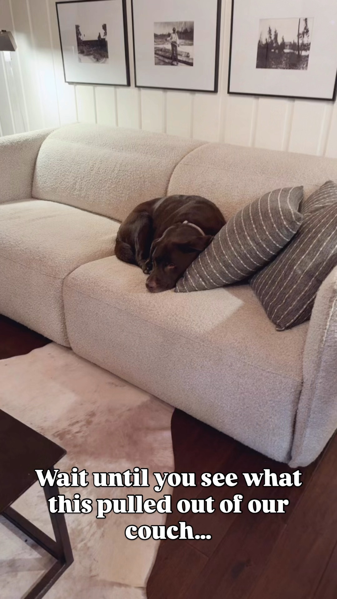 If you have pets, kids, or light upholstery… you need this. The BISSELL Little Green tackles stains fast and makes everything feel clean again without dragging out a full-size machine.

#LTKSaleAlert #LTKHome