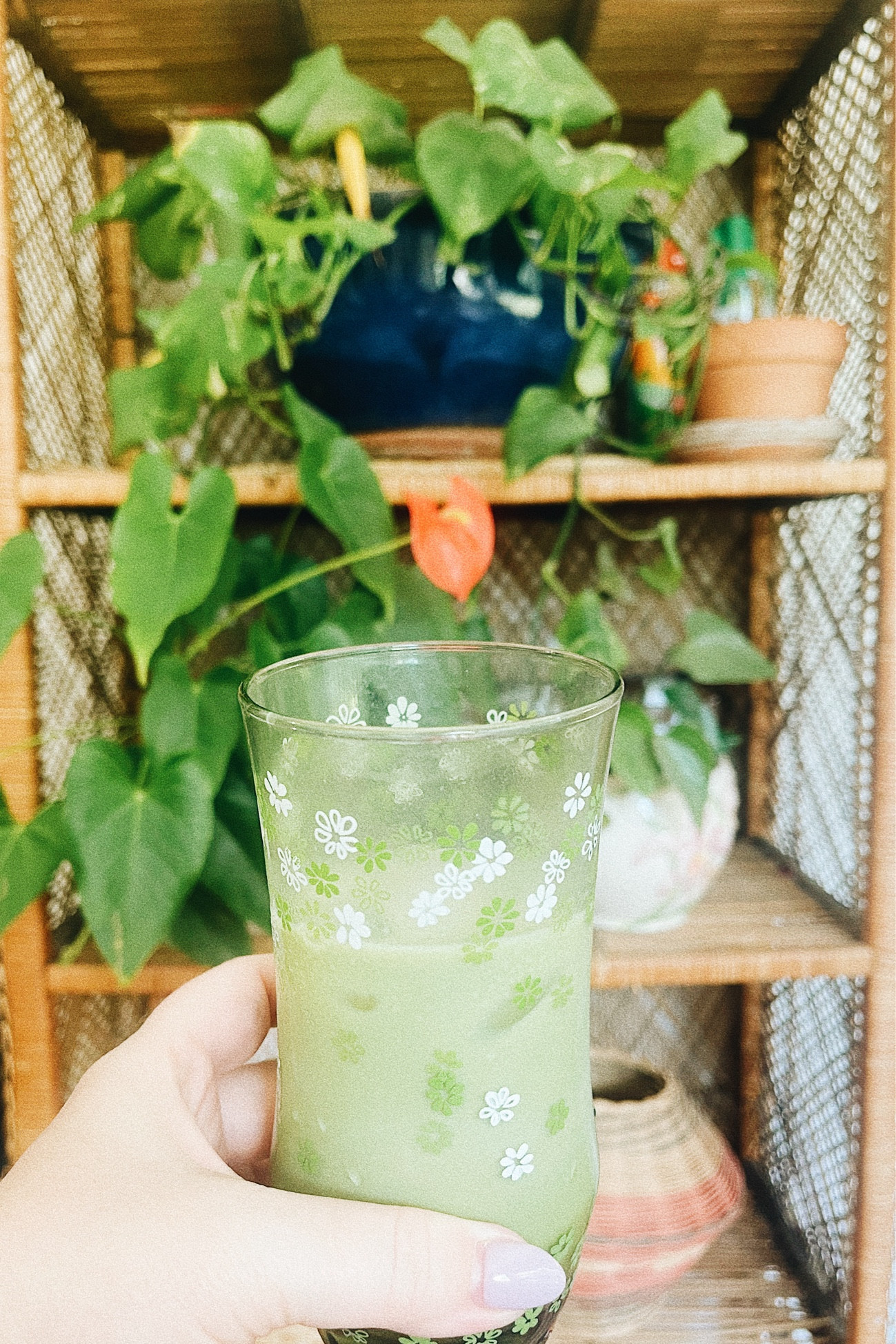 Matcha moment 

#LTKStyleTip #LTKFindsUnder50 #LTKHome