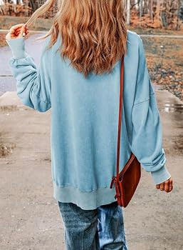 SHEWIN Womens Sweatshirt Casual Long Sleeve Crewneck Lightweight Pullover Tops Loose Sweatshirts | Amazon (US)