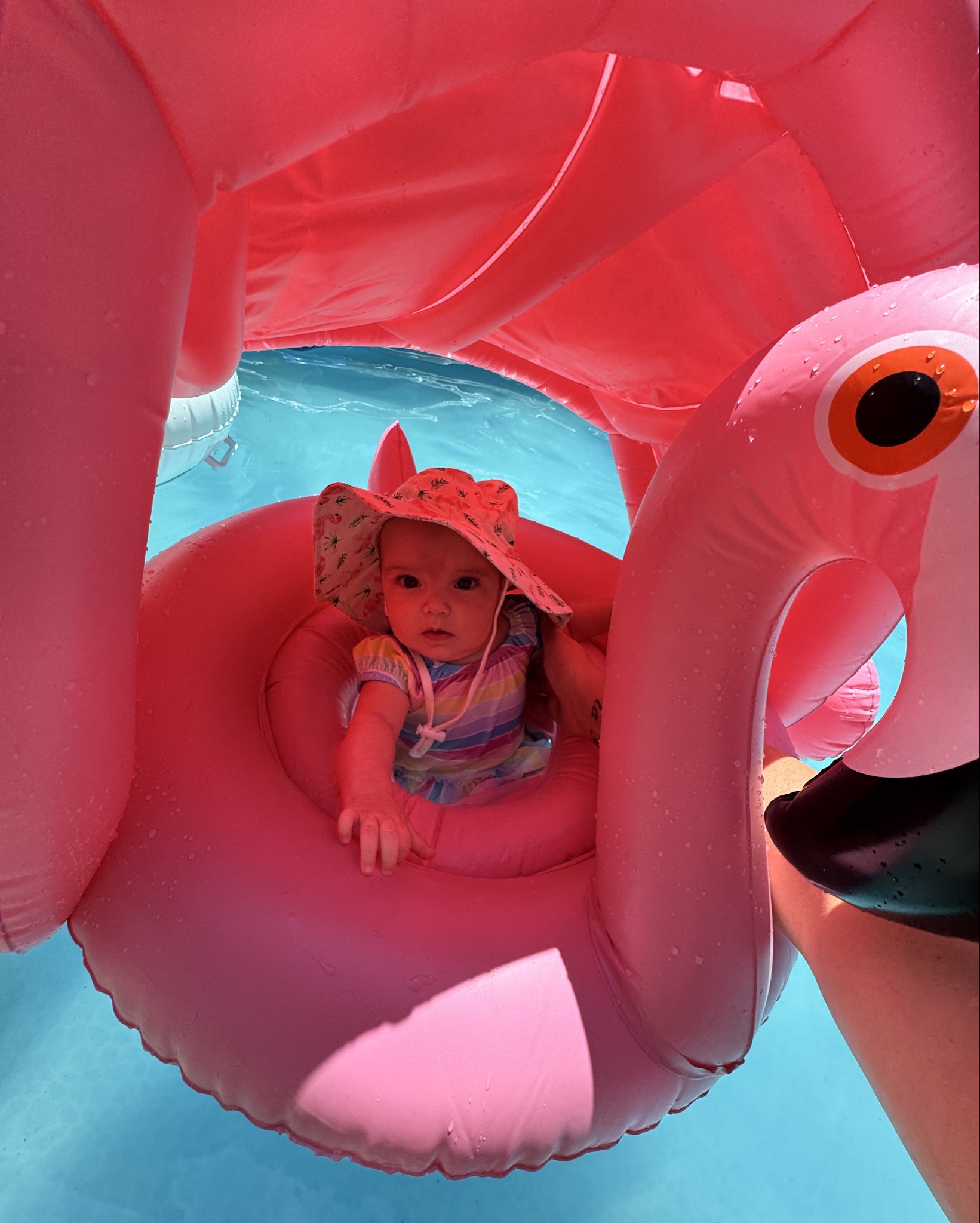 This flamingo baby float 🦩💦 guys it’s so stinkin’ cute!! And provides great shade for your baby!! 

#LTKBaby #LTKSwim #LTKFamily