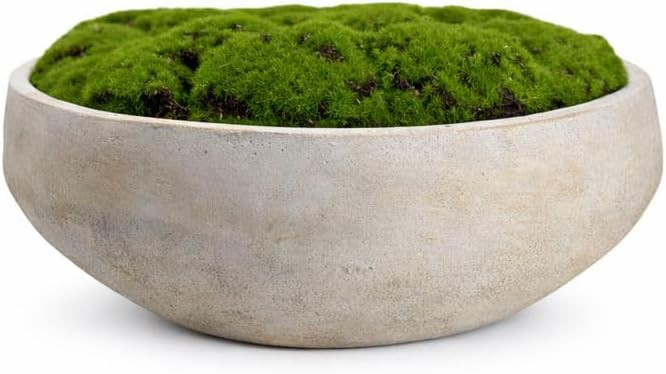 Hand Painted Cement Moss Bowl | 12 Inch | Artificial Moss Centerpiece | Decorative Coffee Table B... | Amazon (US)