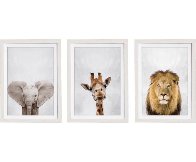Gerahmtes Digitaldruck-Set Wild Animals, 3-tlg. | WestwingNow (AT & DE)