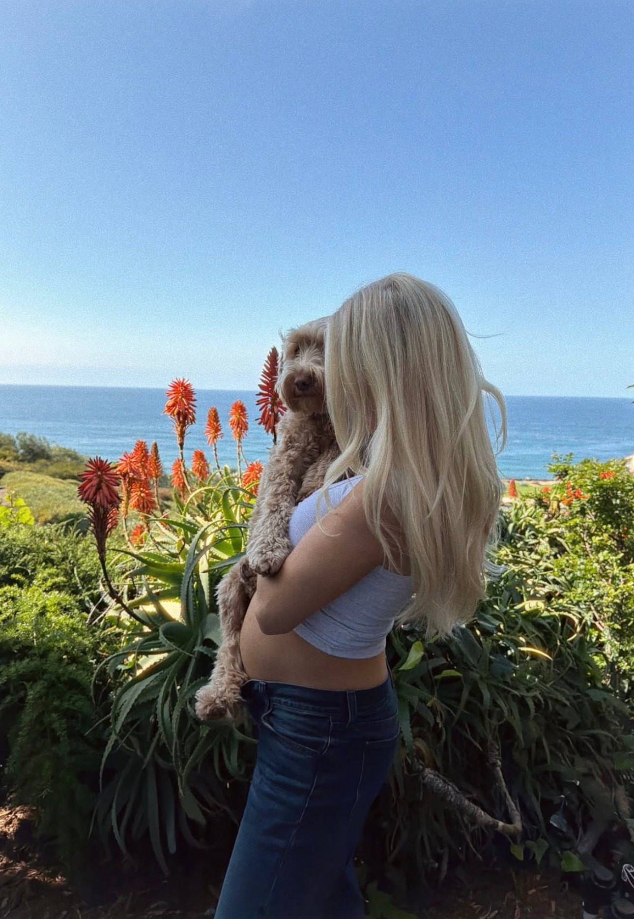 Wearing a small in tank (gray), 29 reg in jeans (sized up for pregnancy)! 
#kathleenpost

Day in my life, OC California vibes, farmers market outfit, comfy chic look, jump friendly, maternity outfit 

#LTKSeasonal #LTKootd #LTKBump