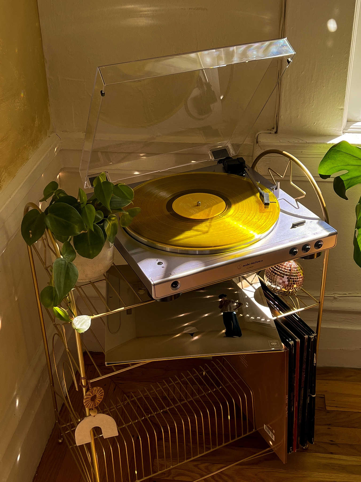 record shelf details! turntable, aesthetic, plants, vinyl

#LTKstyletip #LTKFind #LTKhome