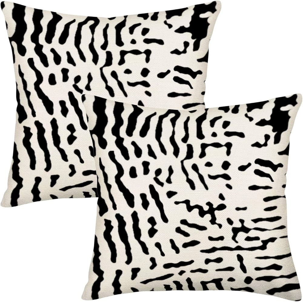 Black and White Abstract Throw Pillow Cover 20x20 Set of 2 Monochromatic Decorative Pillow Covers... | Amazon (US)