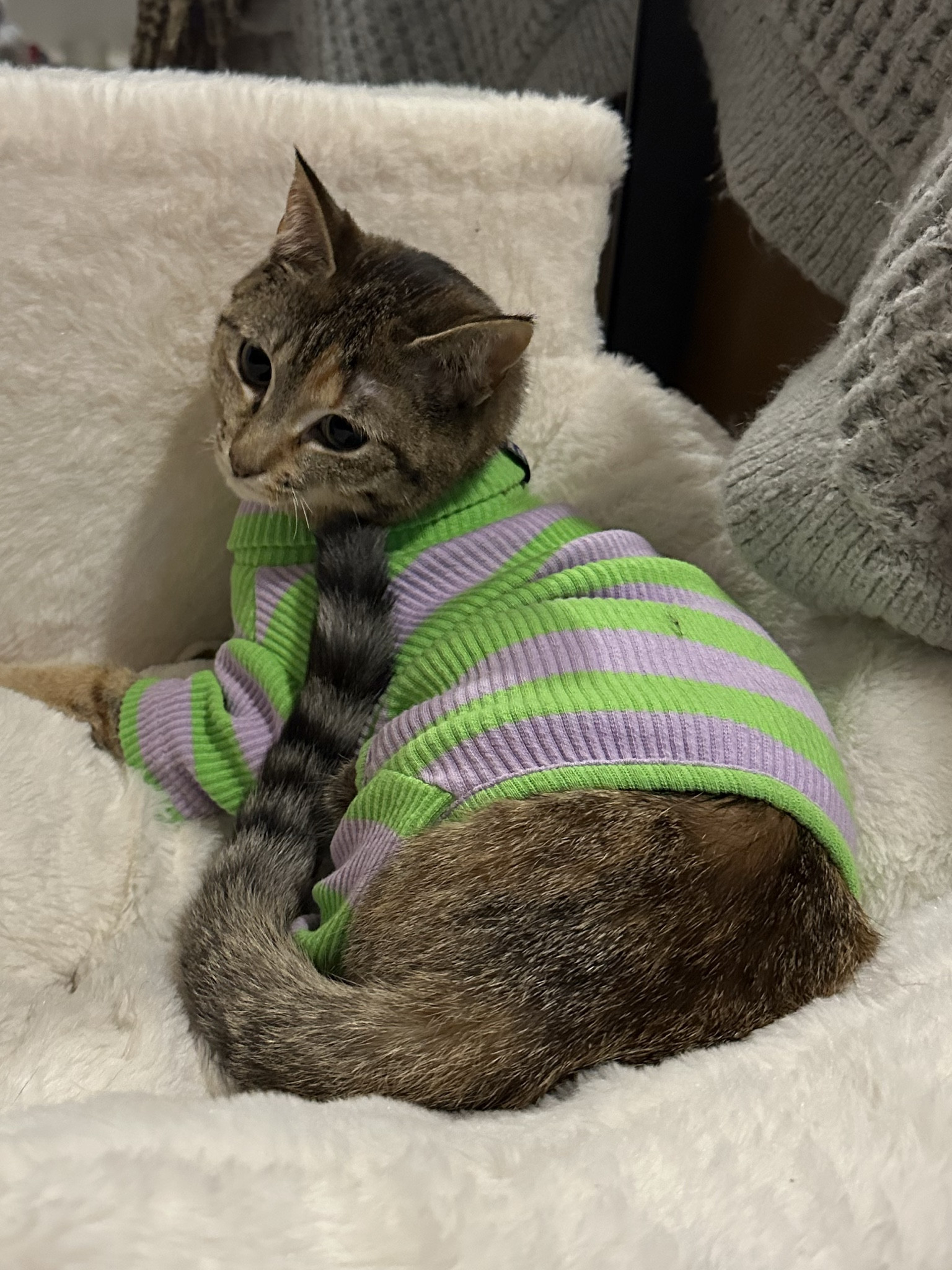 Ready to go home for the holidays in her onesie 😭🎀🍬

#LTKkids #LTKCyberWeek #LTKsalealert