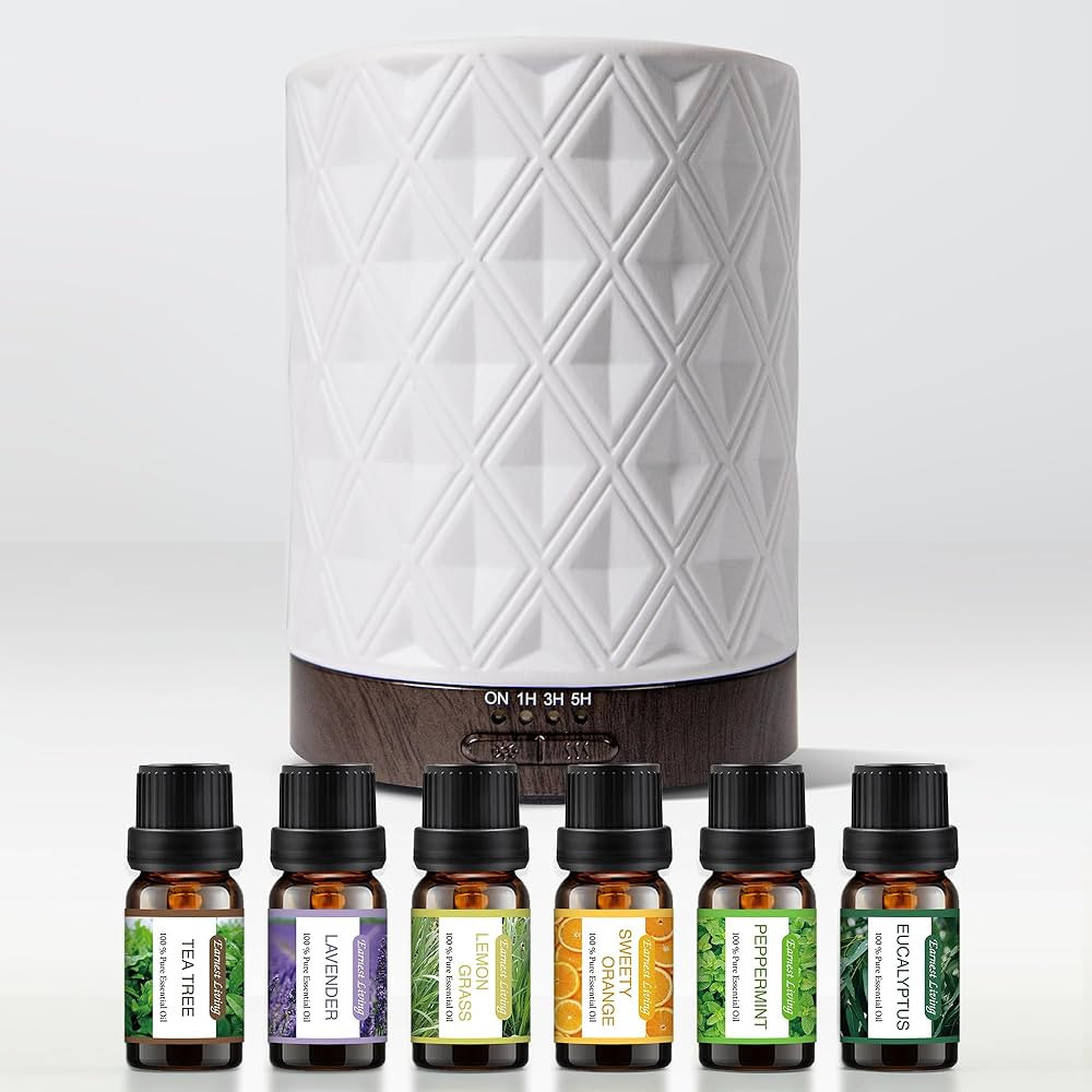 Earnest Living Essential Oil Diffuser Bundle Set White Ceramic Diffuser 250ml Timers Night Lights... | Amazon (US)
