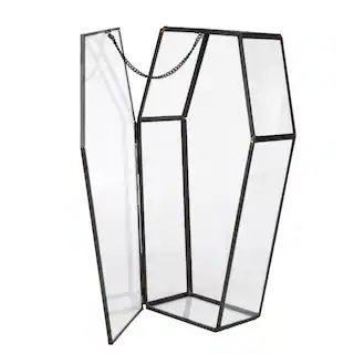 9.8" Coffin Glass Terrarium with Lid by Ashland® | Michaels Stores