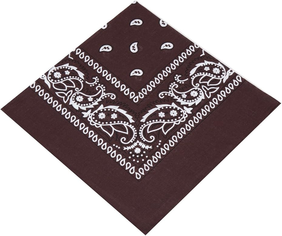 Boolavard 1s, 6s, 9s or 12 Pack Cowboy Bandanas Bandana with Original Paisley Pattern | Amazon (US)