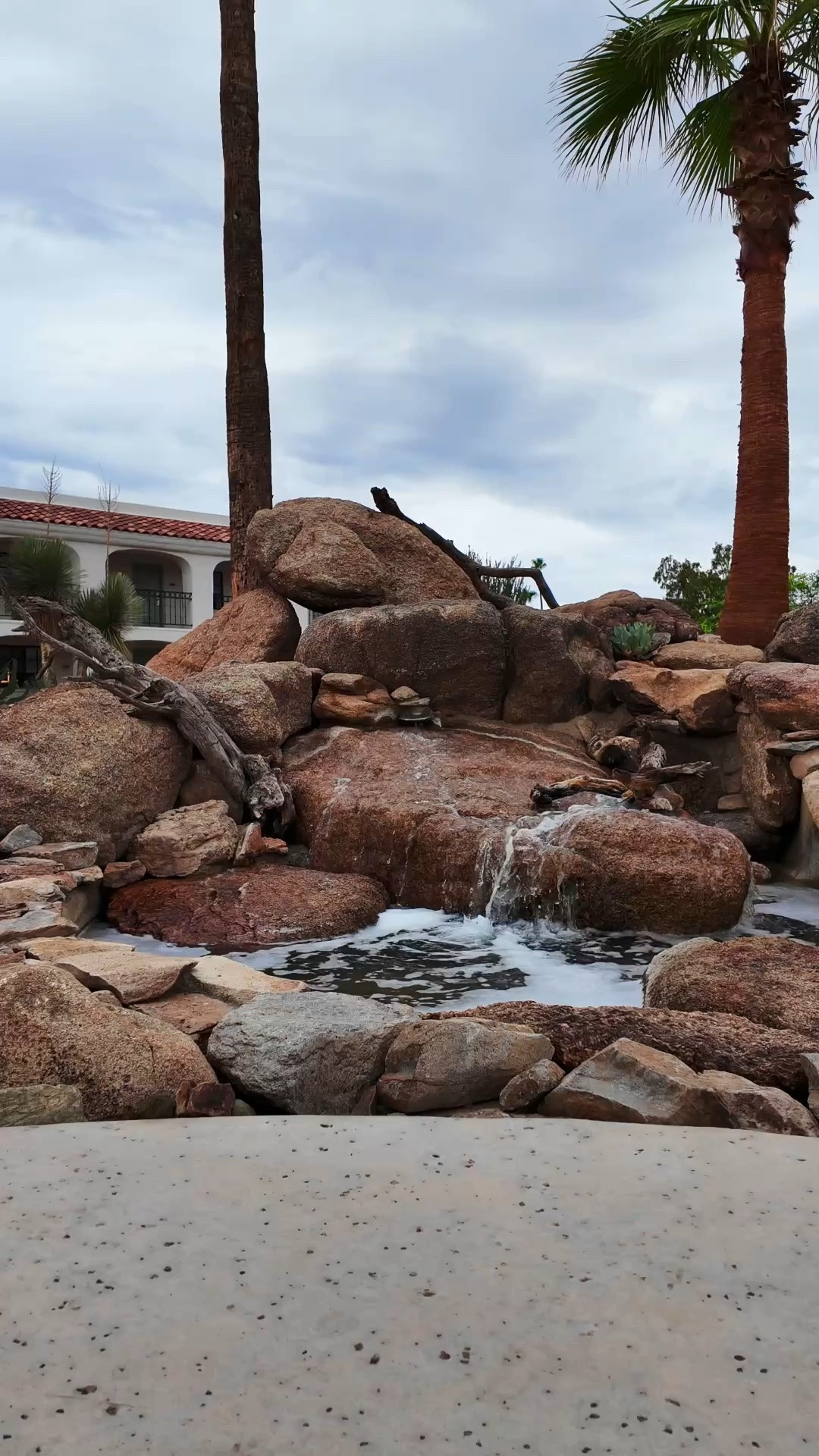 Capturing moments being at the Kimpton Resort in Scottsdale, AZ  using my DJI Osmo pocket 3 with the built in filter through the DJI app. I connect my DJI Osmo to my phone (Bluetooth) and download everything….

#LTKdayinmylife #LTKTravel #LTKvlog