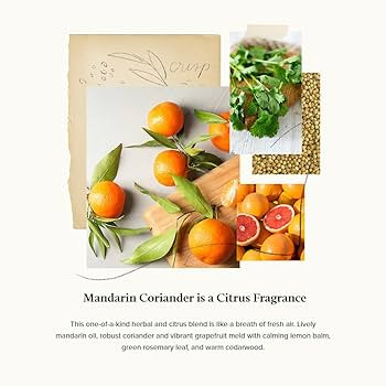 Thymes Hand Wash - Moisturizing Hand Soap Dispenser with Pump - Skin Care - Hydrating Liquid Soap... | Amazon (US)