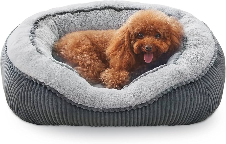 SIWA MARY Dog Beds for Small Medium Large Dogs & Cats. Durable Washable Pet Bed, Orthopedic Dog Sofa | Amazon (US)