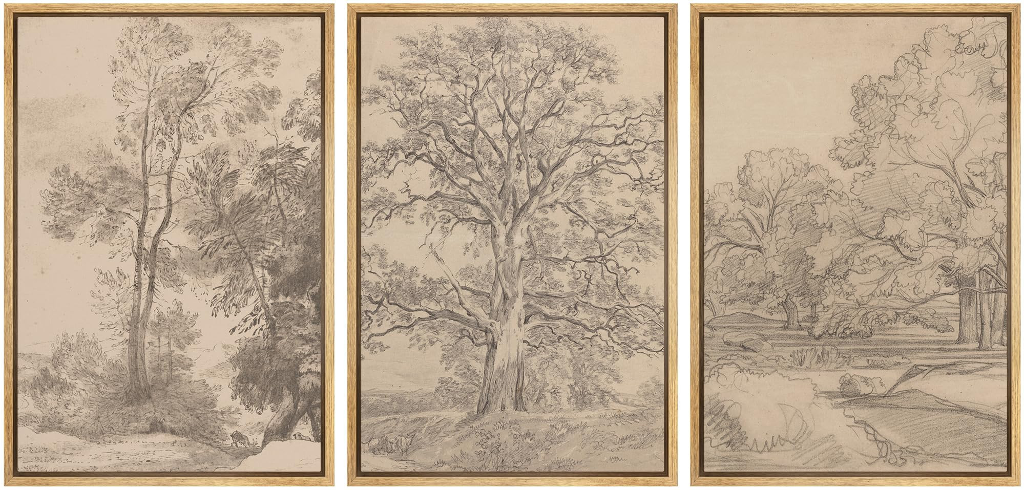 Ashbrook Framed Canvas Print Wall Art Set Retro Vintage Sketchbook Forest Country Landscape Farmh... | Amazon (US)