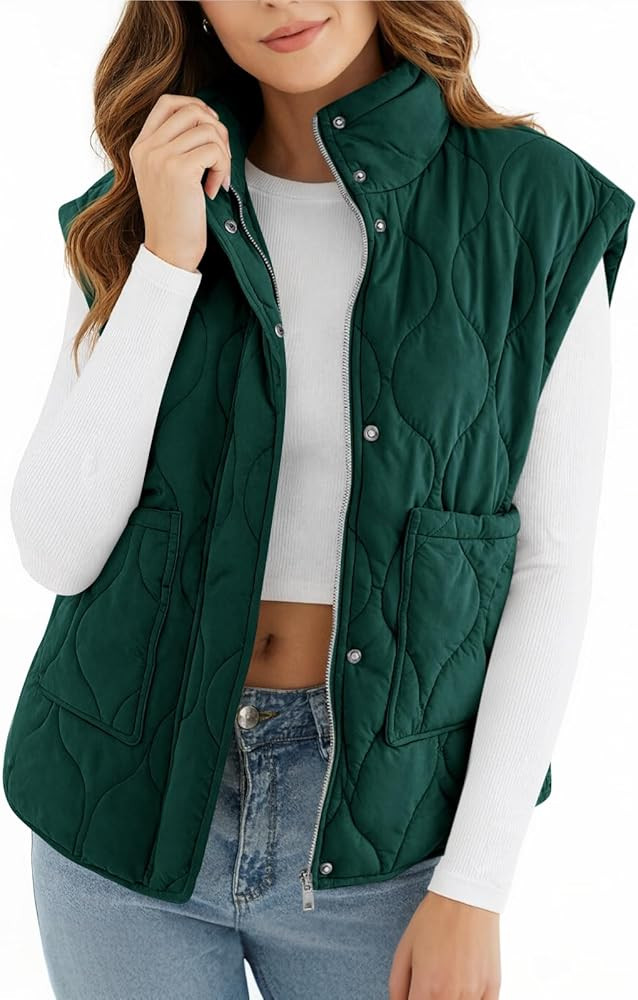 Cicy Bell Womens Quilted Puffer Vest Stand Collar Zip Up Winter Lightweight Padded Gilet Outerwea... | Amazon (US)