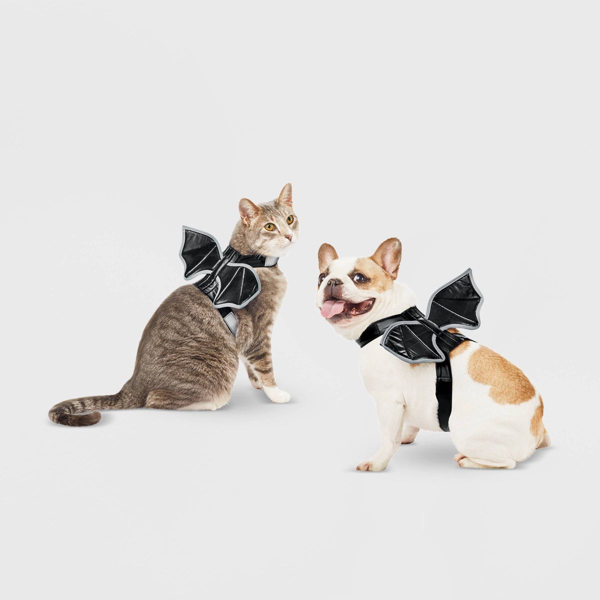 Reflective Halloween Bat Wings Rider Dog and Cat Costume - Hyde & EEK! Boutique™ | Target