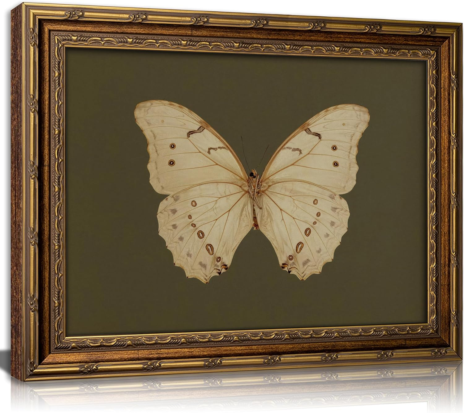 Vintage Gold Framed Wall Art Retro White Butterfly Canvas Print Dark Green Olive Insect Painting Picture Rustic Farmhouse Moth Cottagecore Poster Artwork for Living Room Bedroom | Amazon (US)