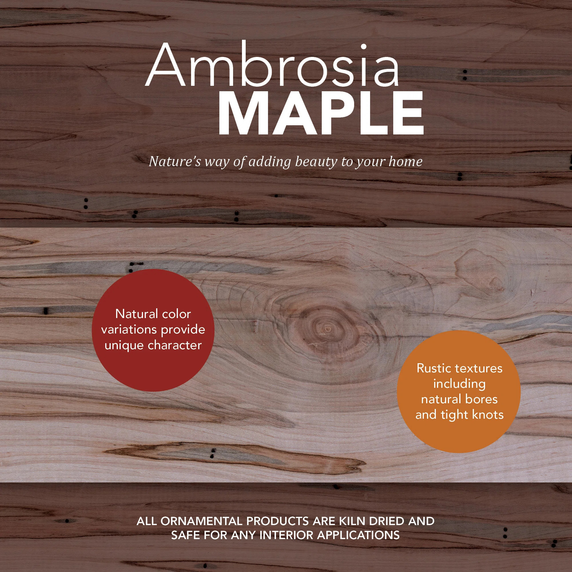 Natural Box Beam Ambrosia Maple | Wayfair North America