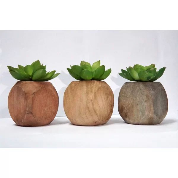 3 Artificial Succulent Plant in Planter Set | Wayfair North America