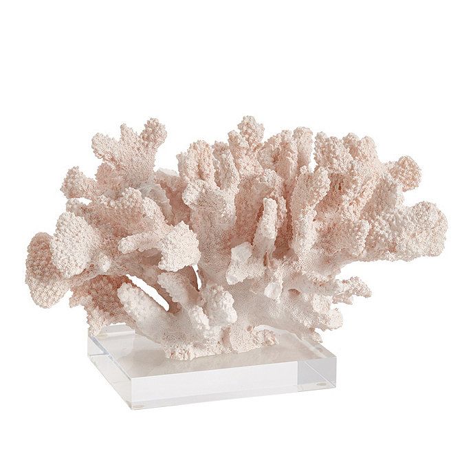 Coral on Acrylic Base | Ballard Designs, Inc.