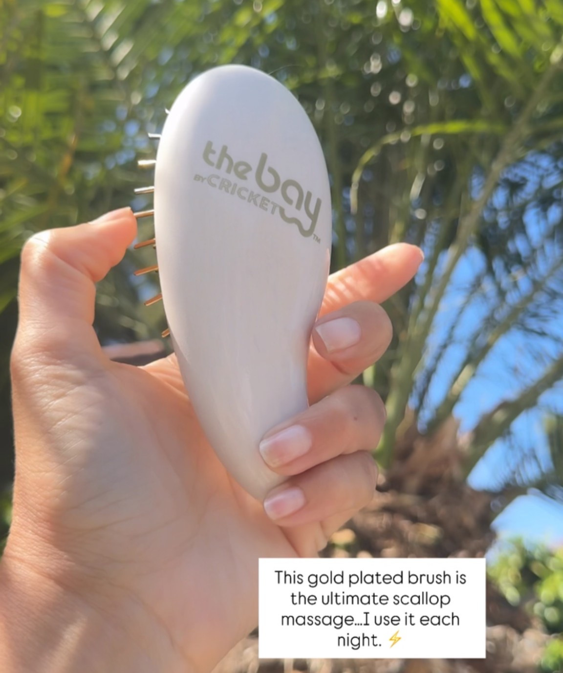 Hair 101 — Scalp massage, not scallop massage 🤣

#LTKdayinmylife #LTKTravel #LTKBeauty