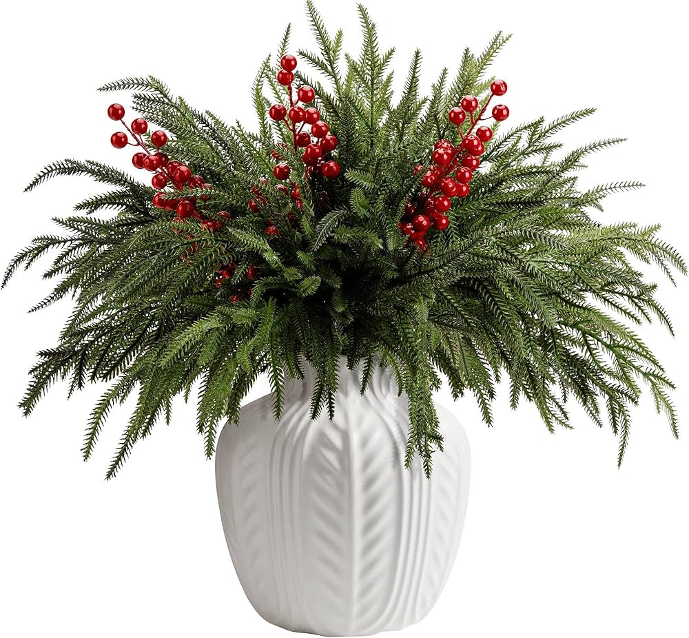 25 Pcs Christmas Norfolk Pine Branches with Red Berry Stems- 19" Extra Long Fake Greenery Norfolk... | Amazon (US)