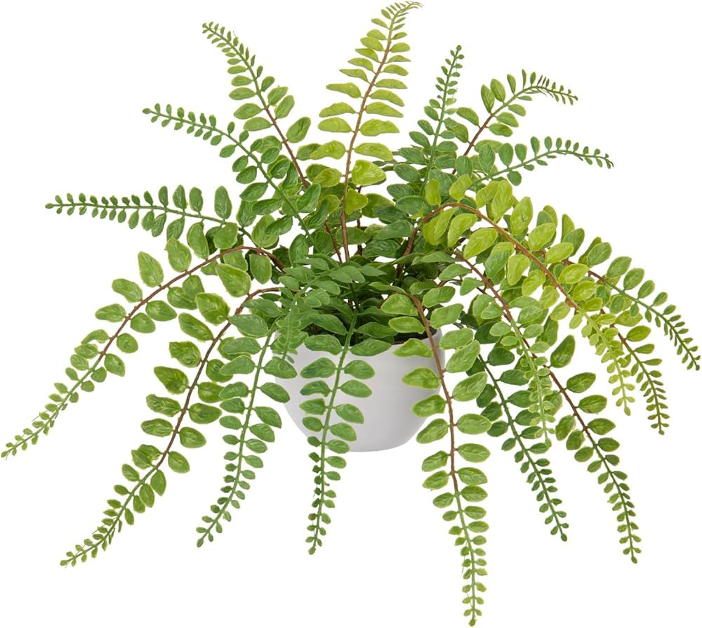 Hollyone Artificial Fern Potted Plant for Outdoors Indoors Lifelike Faux Boston Fern Artificial P... | Amazon (US)