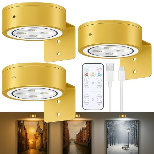 3-Pack Picture Lights for Wall, Rechargeable Battery Operated Led Painting Light with Remote Dimmable ＆ Timer, 3 Lighting Modes Magnetic Art Display Light, Wall Decorative Lighting for Picture,Frame | Amazon (US)