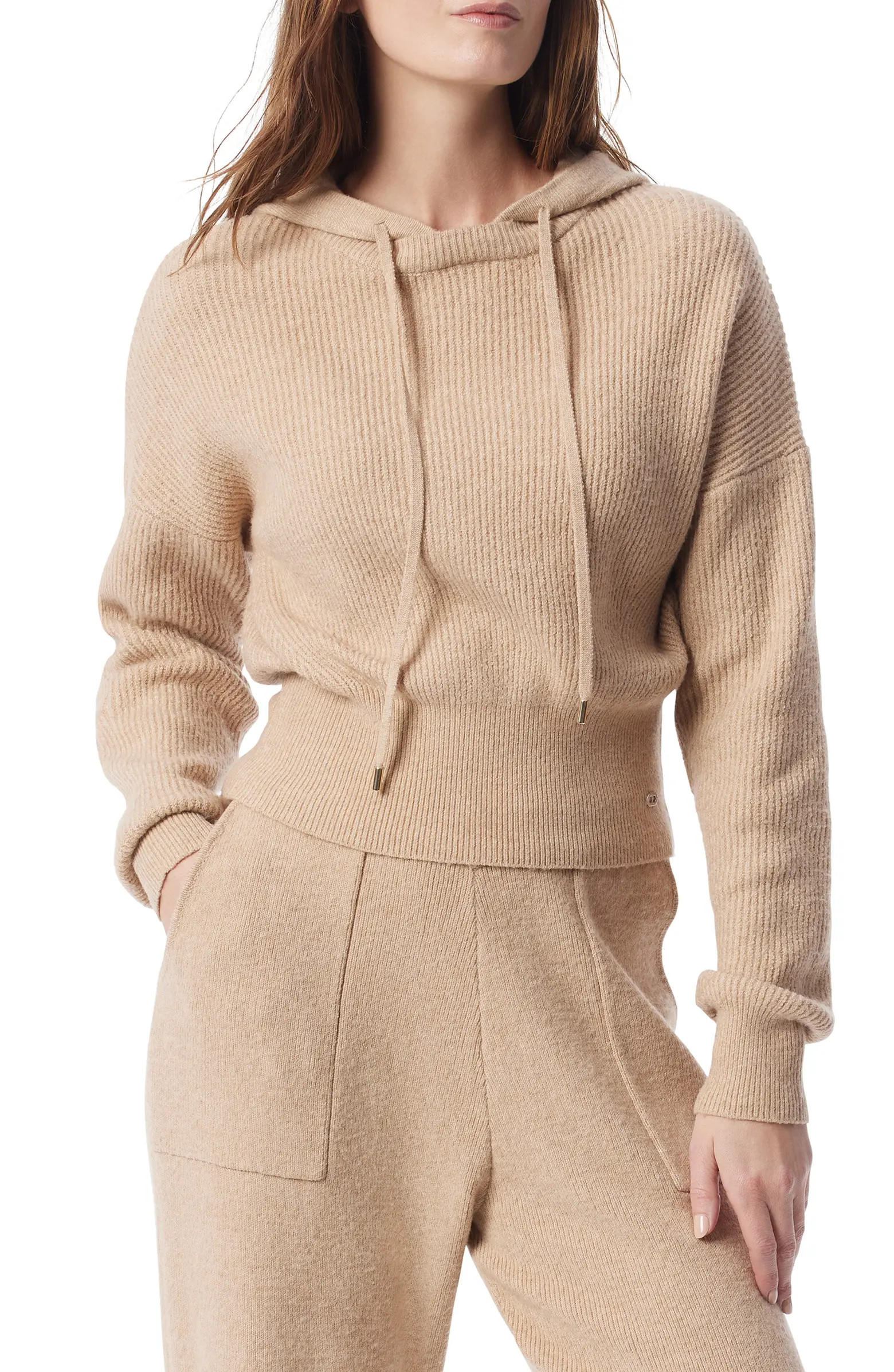 Delaney Rib Sweater Hoodie | Nordstrom