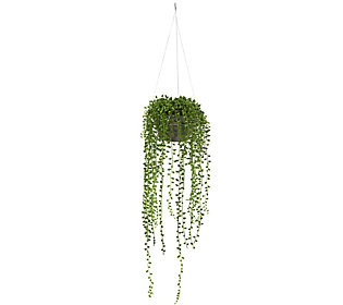 String-of-Pearl Plant Hanging Basket by Nearly Natural | QVC