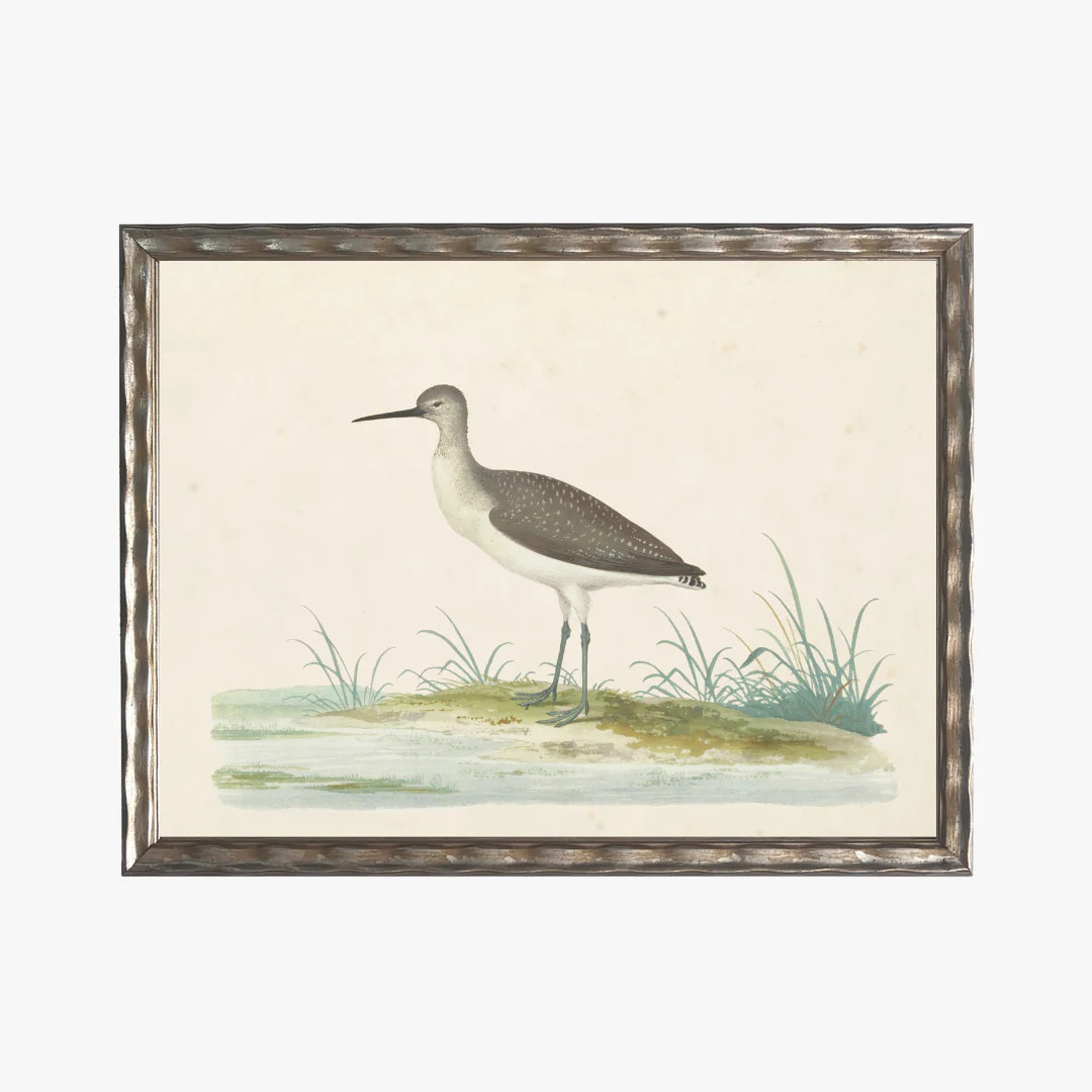 Framed Waterbird IV Bookplate Print | Dear Keaton