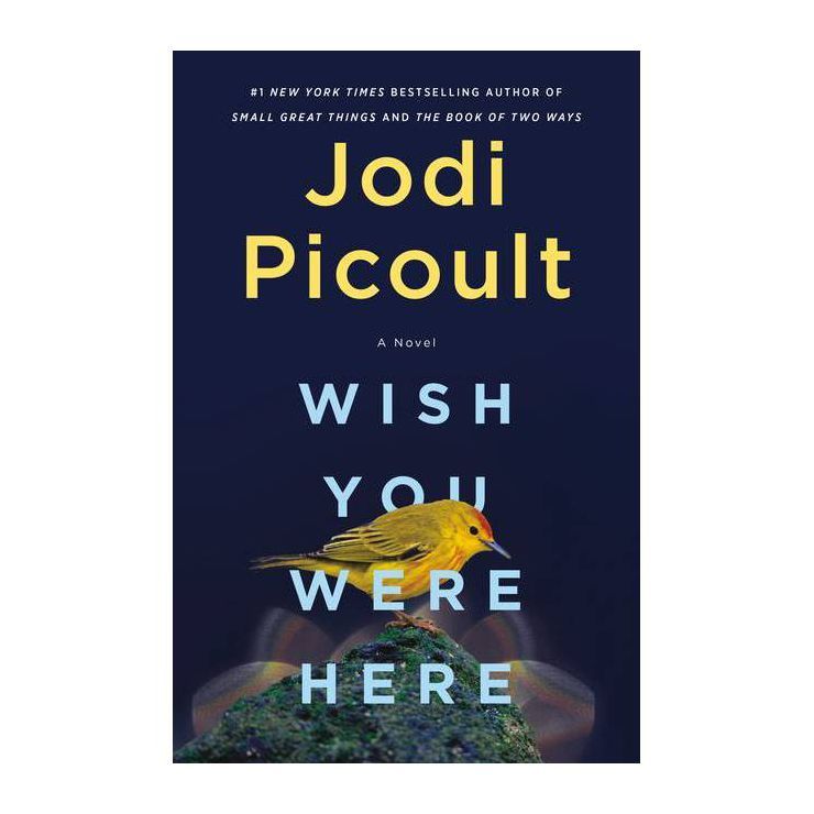 Wish You Were Here - by Jodi Picoult (Hardcover) | Target